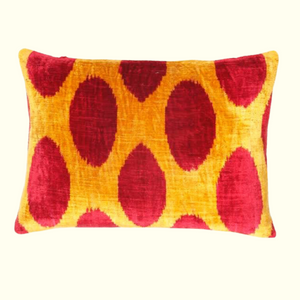 Taz Velvet Ikat Pillow